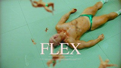David Strindberg - Flex